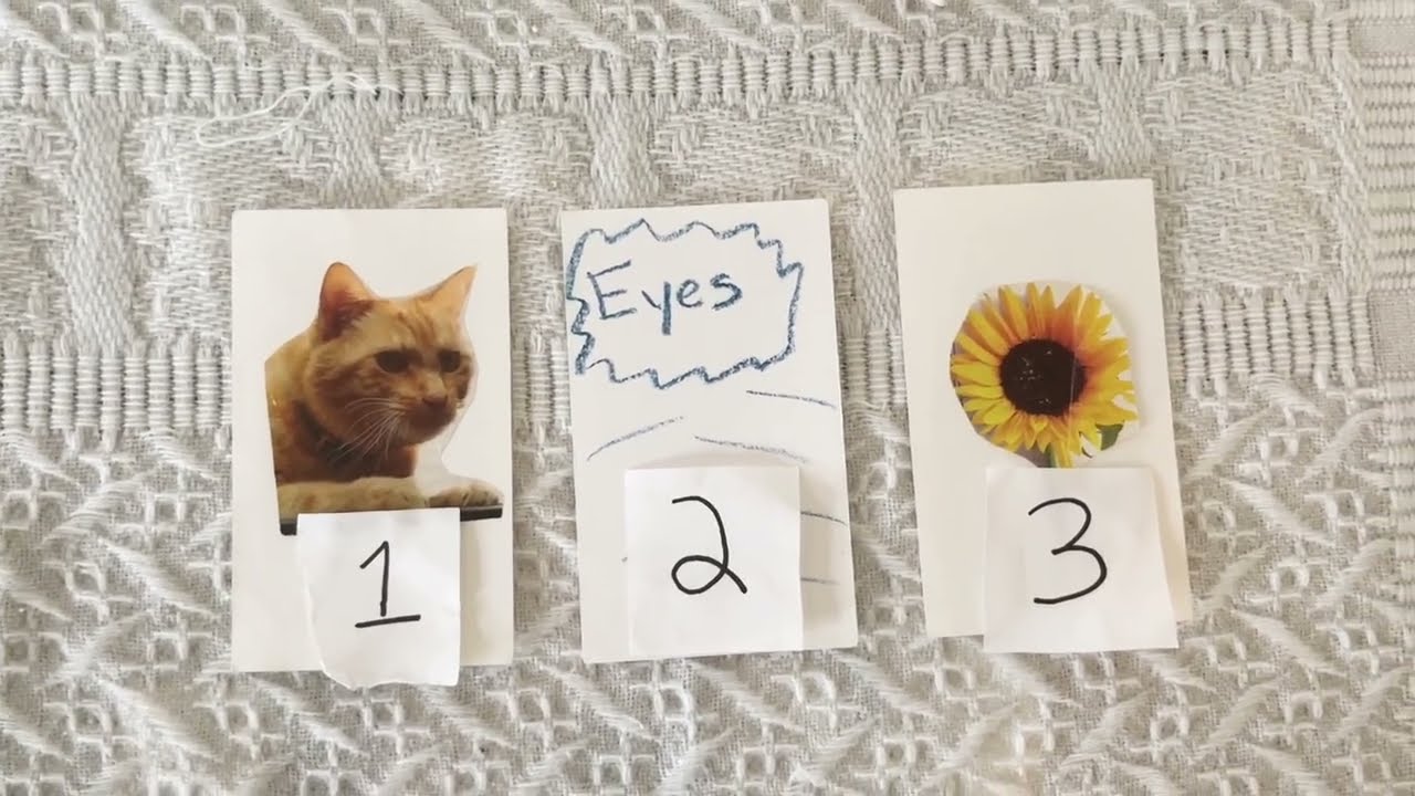 🔥HOW DO PEOPLE SEE YOU!?😏😮 *PICK A CARD* TAROT READING✨