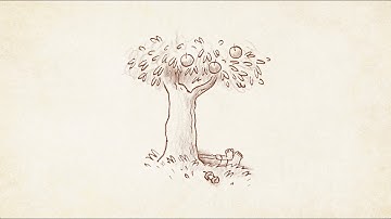 Thank You - The Okee Dokee Brothers