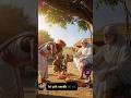 Sai Baba Aur Bina Mange Daan #saibaba #shorts