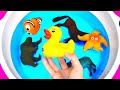 Learn Wild Zoo Animals and Sea Animals Matching For Kids