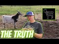 Why We REALLY Got Kiko Goats | Testing Purposes |