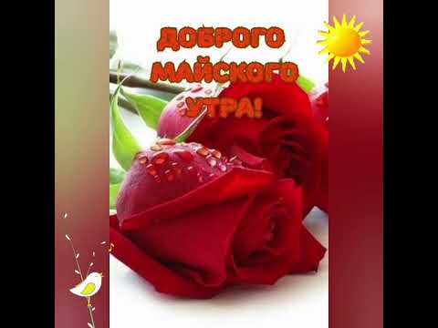 С 1 МАЯ!#с1мая#сначаломмая#поздравления