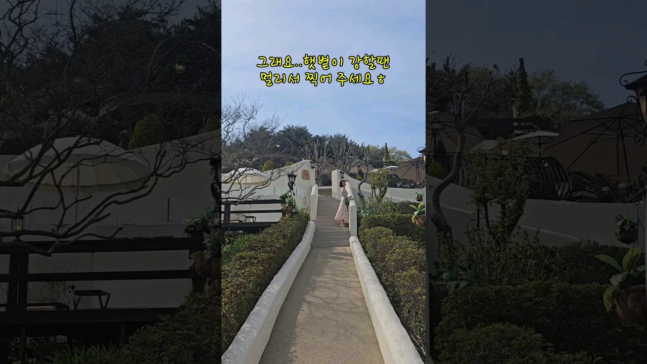 #태안여행 #카페브이로그 포토존의 성지 트레블브레이크커피 #커피맛집 #shorts