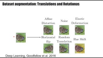 DL2.4 - Data augmentation