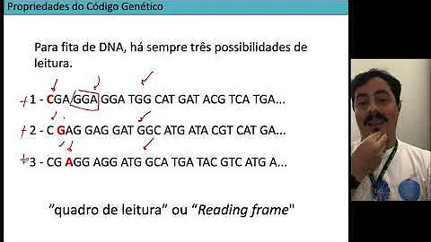 Onde estão localizados os códigos genéticos que determinam todas as características do organismo?