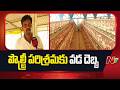 ఏలూరు, పశ్చిమగోదావరి జిల్లాల్లో పౌల్ట్రీ పరిశ్రమకు వడ దెబ్బ | NTV Telugu