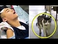 Cat Kept Returning To Patient’s Room Then Staff Discovered The Shocking Reason