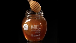NBF Miel orgánica con miel (16 onzas) 100% pura, cruda, sin filtrar, sin  pasteurizar, miel orgánica de la selva tropical biodiversa mexicana, flores