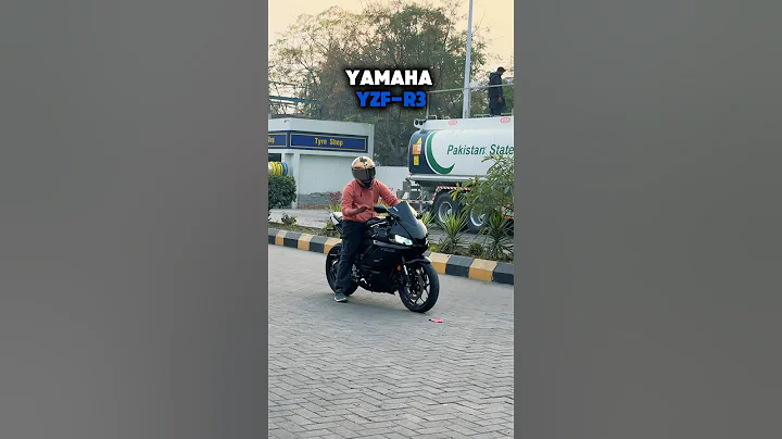 Yamaha YZF-R3 Walkaround!