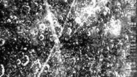 PTV - Cassini Rocks Rhea Rendezvous - January 14, 2011