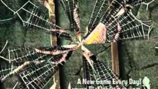 Haunted Halls Green Hills Sanitarium Collector's Edition PC Game screenshot 1