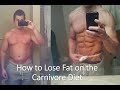 How to lose fat on the carnivore diet