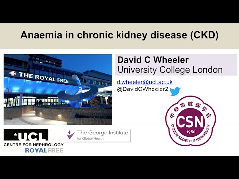 KDIGO Anemia in Chronic Kidney Disease