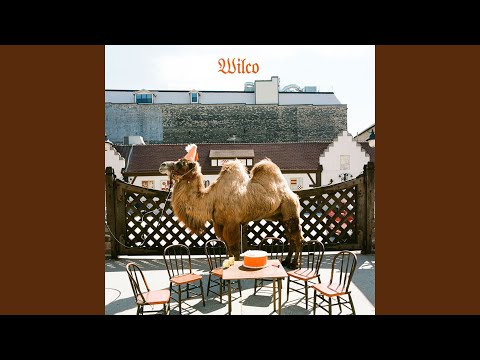 Wilco — You Never Know
