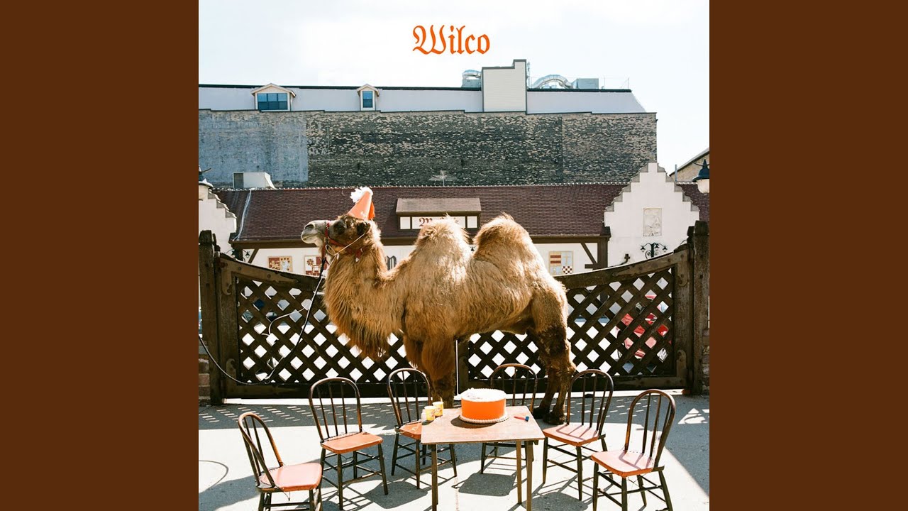 you never know — Wilco (video)
