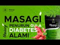 Gambar Masagi obat herbal pankreas insulin diabetes kencing manis gula darah - 125gr 7hari dari Triguna Jaya Sentosa Trifinity Kota Tangerang 7 Tokopedia
