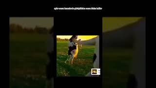 Kuzenlerle Ilgi Video Part1