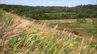 Dynamic Soaring Attempts on a Small Hill