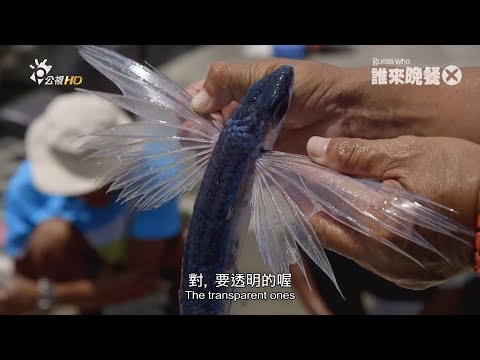 【誰來晚餐X-22】小島上的寶貝與惡靈（王世堅 陳永龍 黄尚禾）｜Guess Who ：Lanyu's Wealth & Waste