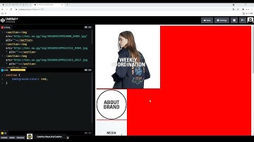 문제   이미지 6개를 3x2 가운데 정렬로 배열해주세요, margin, padding