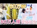【60万人記念！！】初の韓国旅行で₩60万使い切るまで帰れません!!【ご褒美!!】