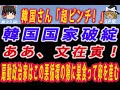 【ゆっくり解説】「ああ。文在寅」#ゆっくり解説 #韓国 #韓国経済