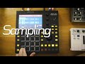 MPC One Sampled Beat and Jam with Minilogue XD, Novation Peak, Behringer Model D and vocals!