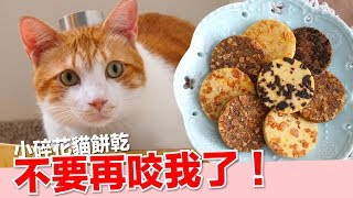 本丸一直咬我啦讓貓咪瘋狂的小碎花餅乾 【貓副食食譜】好味貓鮮食廚房EP143