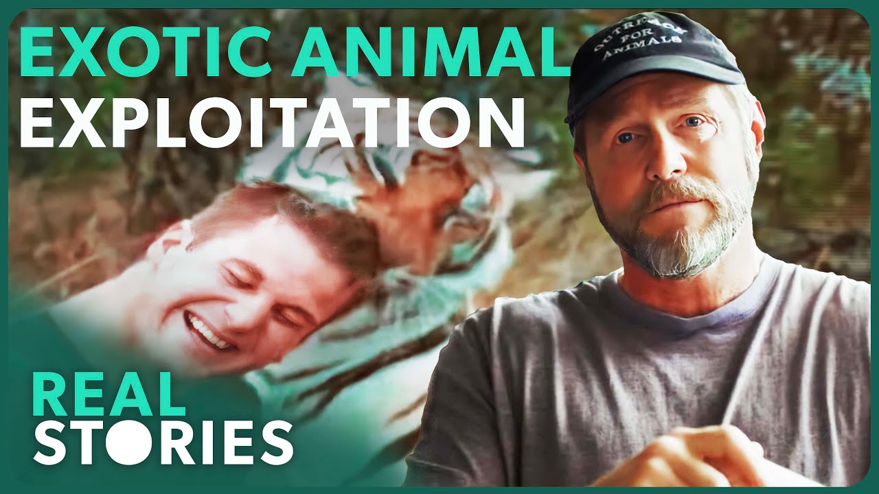 Documentary backdrop image for The Shocking Truth About America's Most Famous Animal Experts (2025)