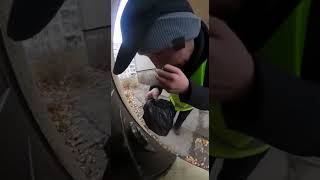 КУРСКИЕ ВОЛОНТЕРЫ портят продукты для ПЕНСИОНЕРОВ #новости #новостирегионов #курск