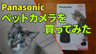 夜間モードが凄かった！PanasonicのペットカメラKX-HDN215を買って使ってみた（レビュー）