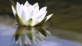 Om Saha Navavatu Shanthi Mantram