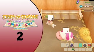 Story of Seasons Friends of Mineral Town Preview Stream 2 Summer Time