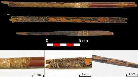 Oldest sinew bowstrings ever found in Europe have been hiding in Spain