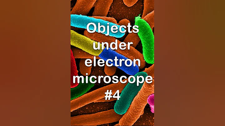 Objects under electron microscope part 4 #shorts