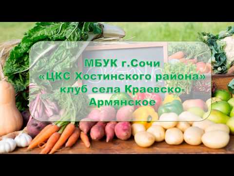 Видеоролик-презентация "Экологически чистые продукты"