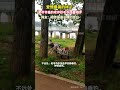近日，貴州某水域旁，一名男子在游泳途中偶遇一對老夫妻，畫面溫馨動人。網友：陪伴是最長情的告白。