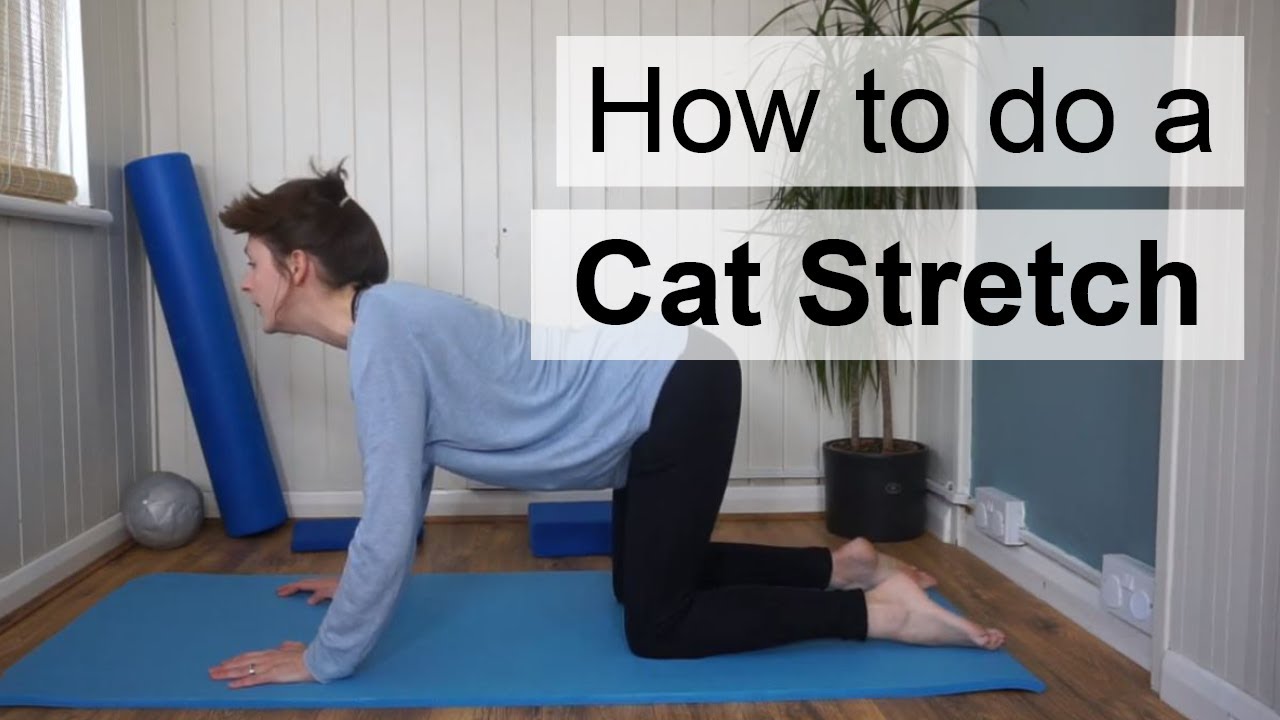 Pilates exercises The Cat Stretch YouTube