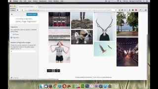 Resi - Gallery Page Pagination