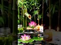 #relax #relaxing #sleepmusic #relaxingmusic #calmingmusic #meditationmusic