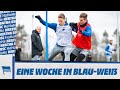 HaHoHe - Eine Woche in Blau-Weiß | 16. Spieltag | 1. FC Köln vs. Hertha BSC