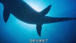 一头怀孕的崖蜥不得已下海,却成为海洋霸主,生产期间大战鲨群!#海洋动物 #海洋 #史前巨兽 #电影 #纪录片解说 #海洋霸主 #沧龙 #二次元 #科普一下 #巨兽