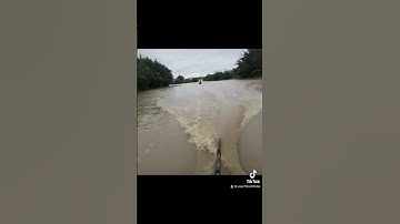 12 fet đại 1 vợt thả cáp kéo côn kích cá điện công suất lớn hiện đại nổi cá đẹp#xiệtcá #kichcadientu