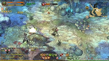 Tree Of Savior 08 Oct 2018 companion co-operative attack(bug)