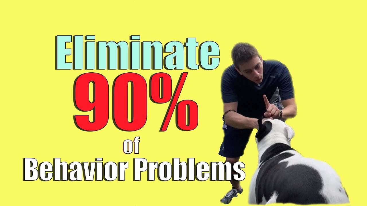 Do this ONE THING to ELIMINATE 90% of Behavior Problems ...