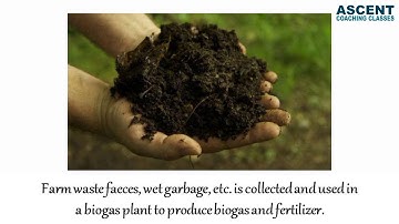 Cell Structure and micro-organism | 7th STD | Science Chapter 11 | Part 3 | Maharashtra Board