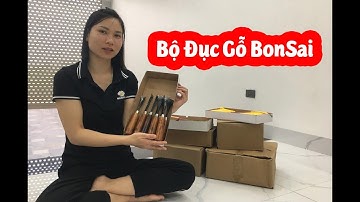 Bộ Đục Gỗ, Đục Cây BonSai Từ Thép Nhíp Ô Tô