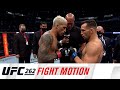 UFC 262: Fight Motion