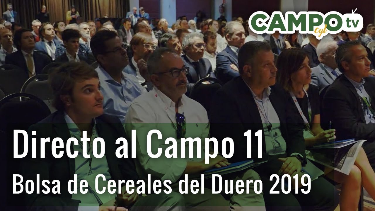 Directo al Campo 11 Bolsa Interncional de Cereales del Duero 2019 Directo al Campo 11 Bolsa Interncional de Cereales del Duero 2019