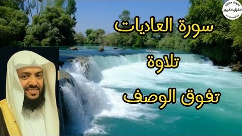 سورة العاديات.. تلاوة تفوق الوصف... للقارئ وديع اليمني